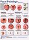 Vocal Pathology I
